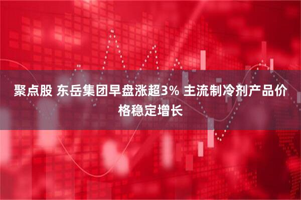 聚点股 东岳集团早盘涨超3% 主流制冷剂产品价格稳定增长