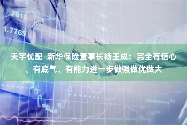 天宇优配  新华保险董事长杨玉成：完全有信心、有底气、有能力进一步做强做优做大