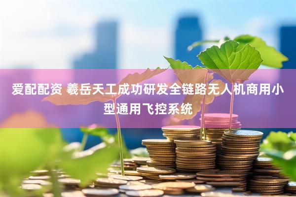 爱配配资 羲岳天工成功研发全链路无人机商用小型通用飞控系统