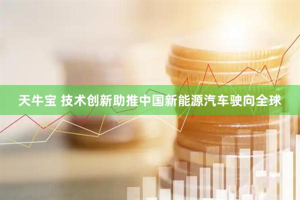 天牛宝 技术创新助推中国新能源汽车驶向全球